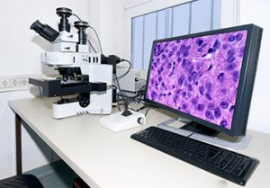 histotech microscope and computer set up on a lab table