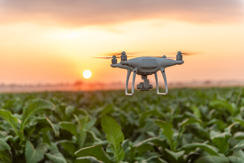 Drone flying over crop field.