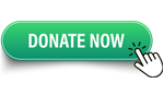 Green button that reads "Donate Now"